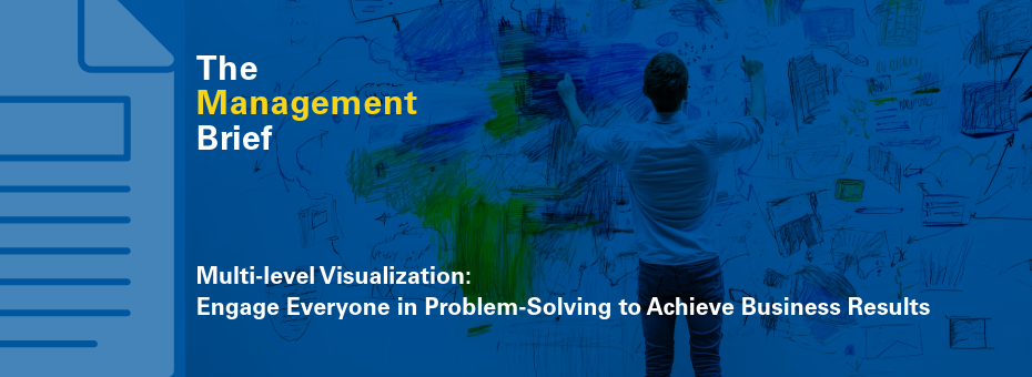 Multi-level Visualization: Engage Everyone in Problem-Solving to Achieve Business Results