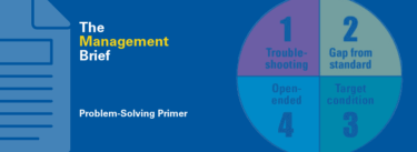 Management Brief: Problem Solving Primer