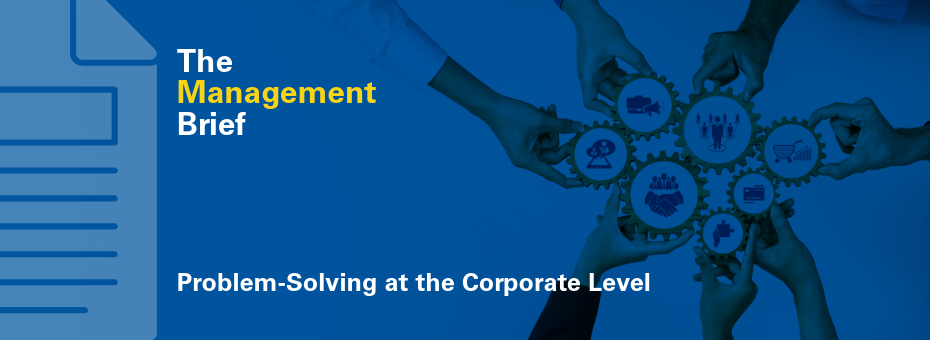 Management Brief: Problem-Solving at the Corporate Level