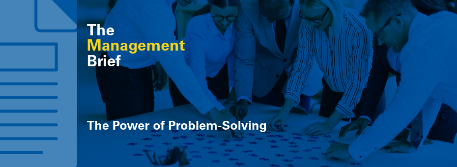management brief - problem solving